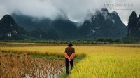 Có ai muốn đánh đổi sự bất hạnh của mình không?