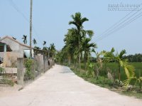 Ghé thăm làng chiếu Bàn Thạch