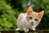 Còn Nhiều Hơn Trong Cuộc Sống