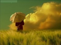 Đừng bận tâm vì những điều không xứng đáng