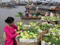 7 điều chinh phục du khách khi du lịch miền Tây