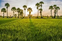 Hỏi đáp thắc mắc kinh nghiệm du lịch An Giang