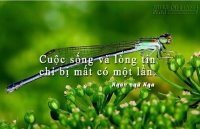5 bài học xương máu cần ghi nhớ nếu muốn tồn tại trong xã hội này
