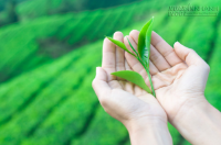10 bí kíp khôi phục lại sự tự tin