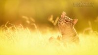 Chuyện về một bữa sáng