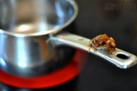 Hội chứng luộc ếch: Kẻ giết người lớn nhất mọi thời đại