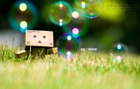 Sống Đủ Để Là Chính Mình