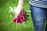 5 quy tắc đơn giản cho một cuộc sống khỏe mạnh