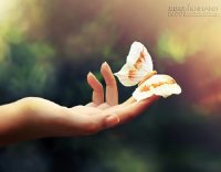 Cuộc nói chuyện điện thoại và bài học thấm thía về buông bỏ