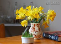 Vận xui đến dồn dập, phải hóa giải ra sao?