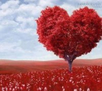 Những câu nói có thể đốn ngã trái tim các chòm sao