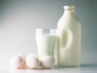 Những người tuyệt đối không uống sữa buổi sáng