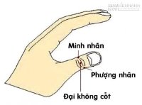 Mẹo hay chữa lão thi, cận thị không cần dùng thuốc