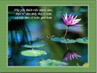 Bí quyết loại trừ căng thẳng