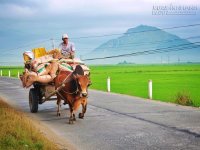 Du lịch Phú Yên chưa bao giờ dễ như bây giờ