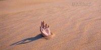 Làm sao để thoát khỏi vùng cát lún