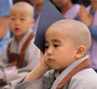 Người con gái đẹp trong mắt chú tiểu