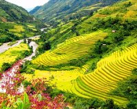 Phương pháp để tăng cường quý nhân giúp đỡ