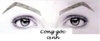 Nhìn thấu tính cách qua 14 hình dáng lông mày