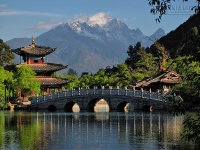 Đau, buông bỏ và buông xuôi