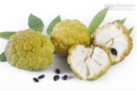 Những loại quả ngon nhưng hạt là thuốc độc chết người
