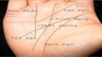 Luận giải đường hôn nhân trong lòng bàn tay