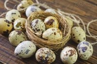 5 lợi ích tuyệt vời của trứng cút