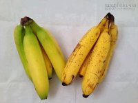 Ăn một quả chuối mỗi ngày sẽ không cần đến bác sĩ
