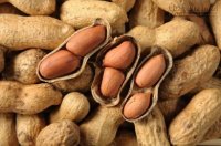 5 loại thần dược chống lão hóa
