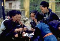 Mày đói thì tao kệ mày, nhưng vợ mày đói là tao đánh mày đấy!