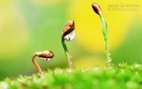 7 thói quen nhỏ giết chết may mắn của bạn từ trong trứng nước
