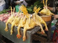 Cách nhận biết thịt gà nhuộm hóa chất vàng da
