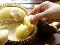 Chết bất đắc kì tử do ăn sầu riêng rồi uống cà phê, bia rượu?