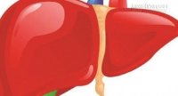 Bảo bối giúp tỉnh rượu, bảo vệ tế bào gan dành cho người hay uống rượu bia