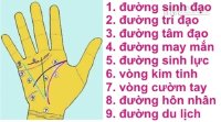 Xem chỉ tay đoán biết bạn sắp phát tài và có chuyện vui?