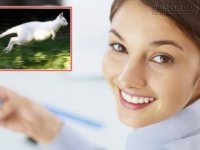 Muốn tự tử sau khi biết nguyên nhân mỗi ngày có một con chuột túi xổng chuồng