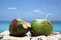 Hướng dẫn uống nước dừa cho bà bầu đúng cách để mang lại lợi ích cao