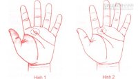 Xem tướng bàn tay đàn ông giàu có thành đạt chính xác nhất