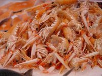 Những sai lầm tại hại của mẹ khiến con lùn xủn