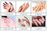 Đoán tài lộc cuộc đời qua nốt ruồi trên bàn tay