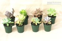 Yếu tố quyết định đến đường công danh, sự nghiệp học hành của bạn