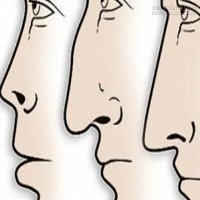 Hình dáng mũi tiết lộ gì về tính cách của bạn?