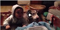 Chú chó kêu mama để giành ăn với cậu chủ
