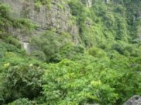 Niềm tin và sự kiên định.