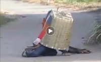Tình huống trớ trêu giữa khỉ và chó