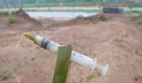 Làm gì khi vô tình dẫm phải kim tiêm ?