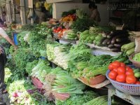 Nguy hiểm rau ngót, rau muống và rau mùng tơi nhiễm hóa chất