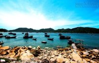 Trải nghiệm 3 ngày ở miền đất hoa vàng cỏ xanh