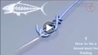 Những cách thắt nút lưỡi câu cá chắc chắn và đẹp mắt nhất