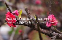 Câu chuyện đánh đổi nỗi bất hạnh – Cuộc sống toàn sự bế tắc???